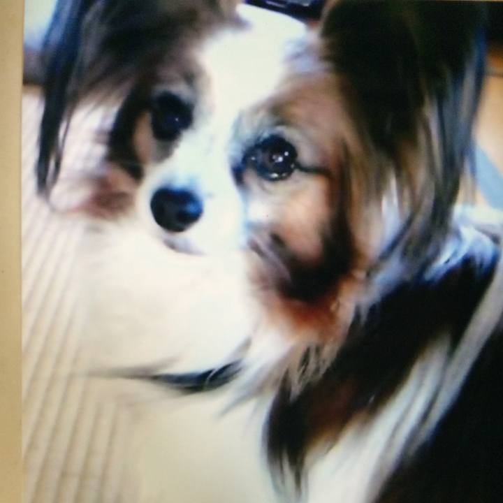 39c2886c 192a 4b9c bf03 0a4808ab52d9