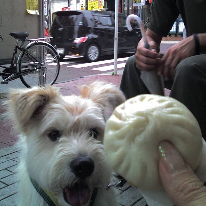 39c32fb3 9e21 4d98 b93d 976c2b1b6072