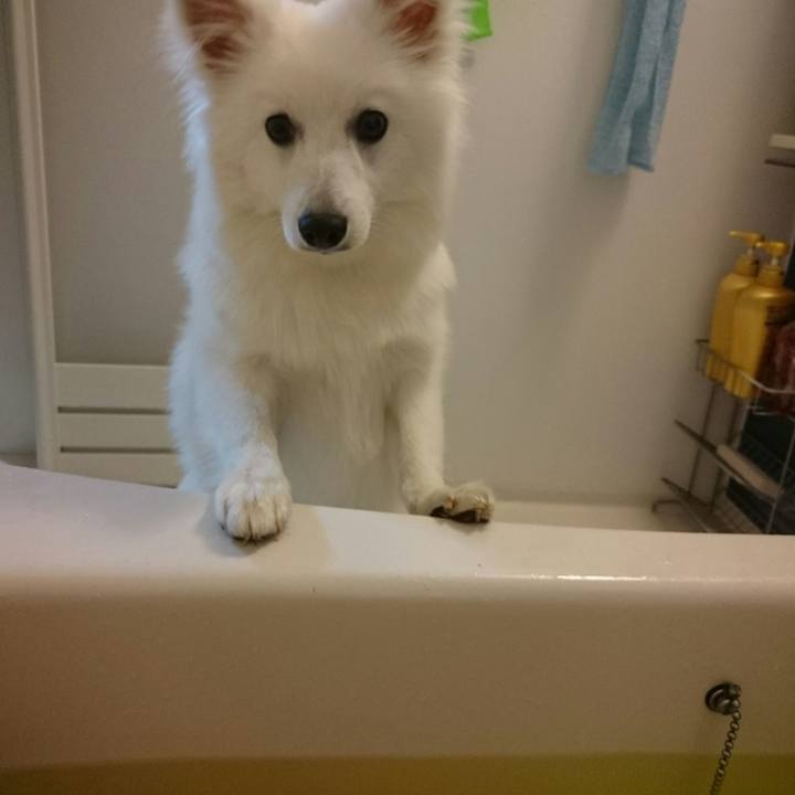 39c3d431 9b95 423e a898 503403433ab8