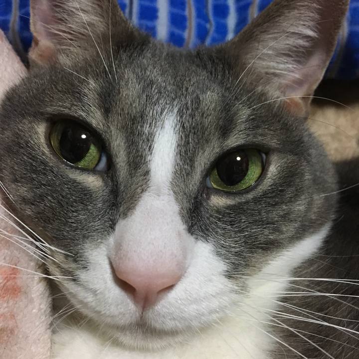 39c4bb38 5de6 4bca 877c e106d5aa019e