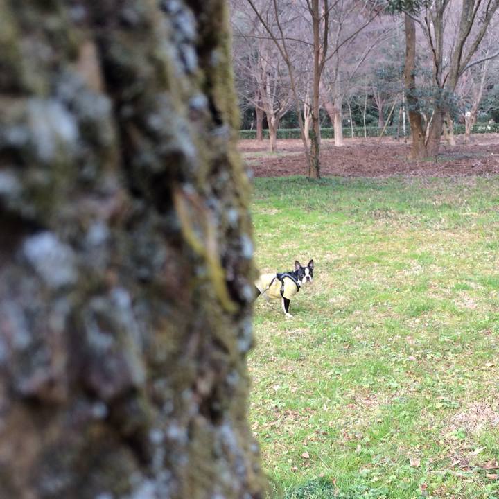 39c4dffa 71f6 431f 983b d34e347c00dc