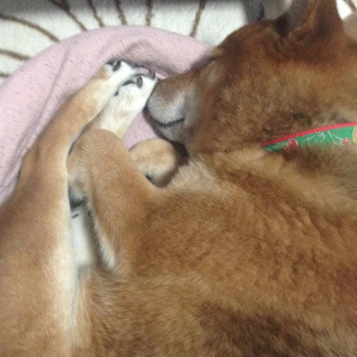 39c502ef dac0 4fb6 97b0 2aa57420236a