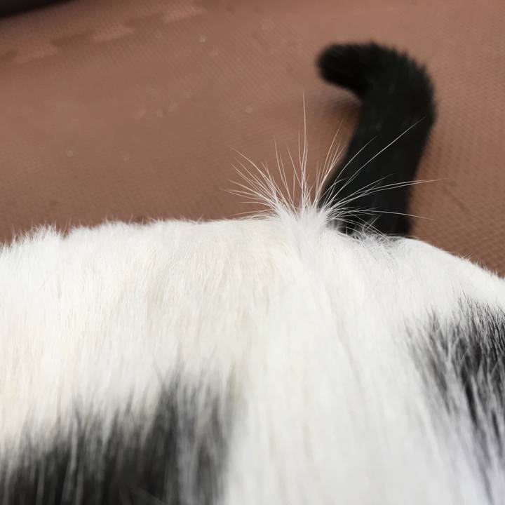 39c56716 a95b 436b bdb7 b4194d91b2d6