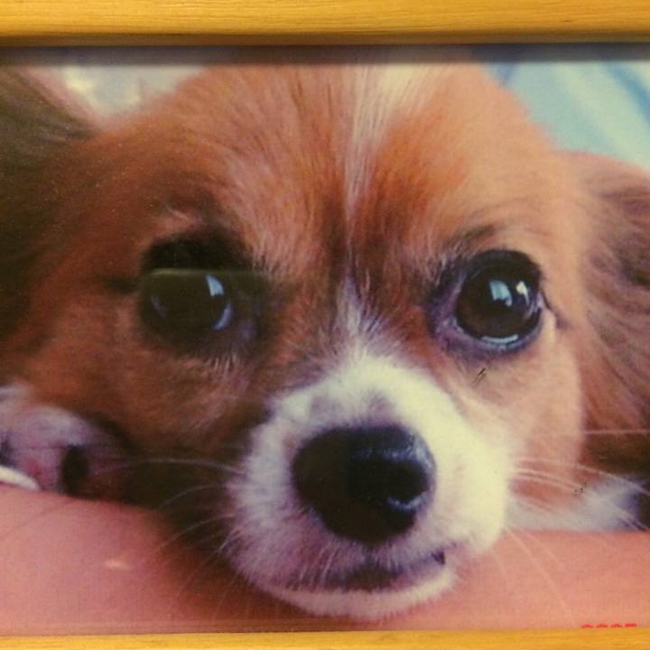 39c57b9e c499 4b14 b0fd a32b308f3069