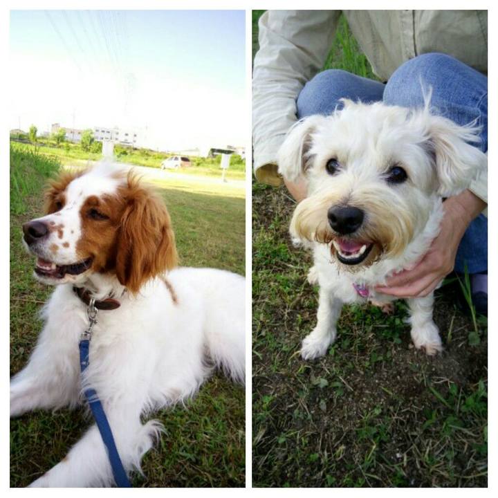 39c58a32 b167 41b5 a4c6 e66ea53d325c