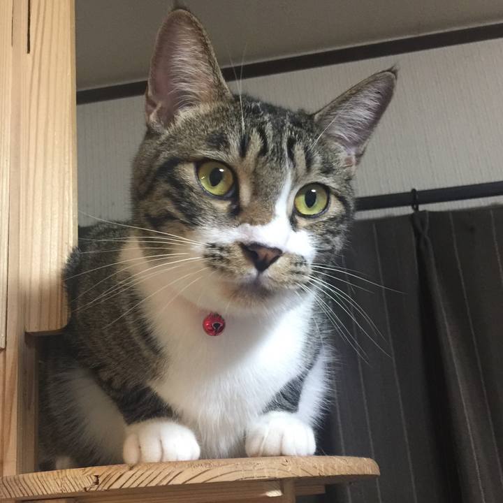 39c71689 a8c3 439a 9184 4fa0eeb6072e