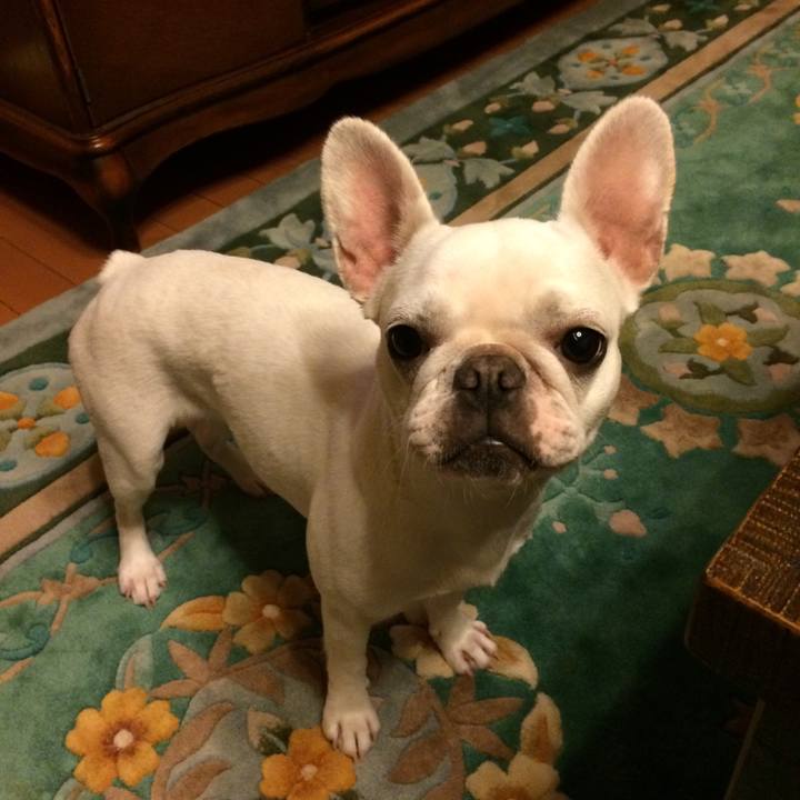 39c76218 8fd2 474f 837e 8a9ebfc83988