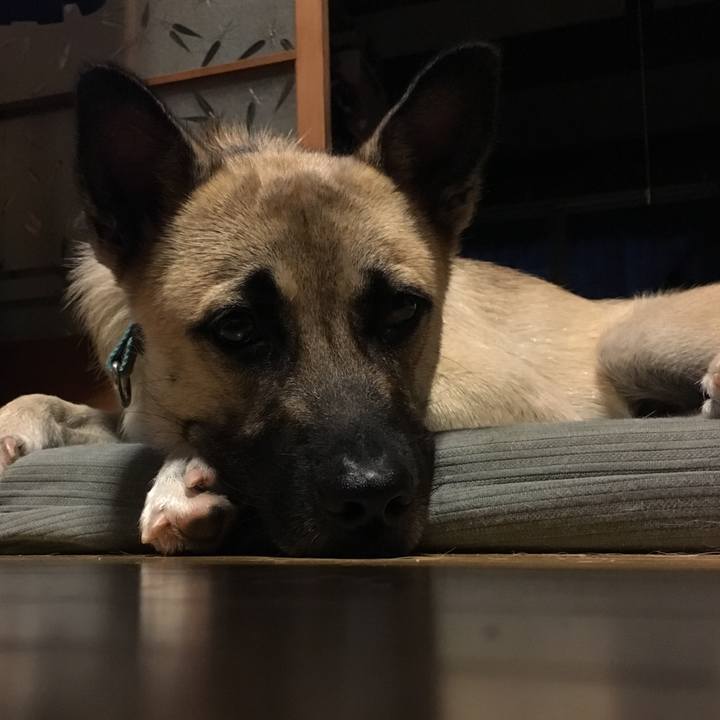 39c7fff7 2886 4cbb a54d 684f7f5ce4c5