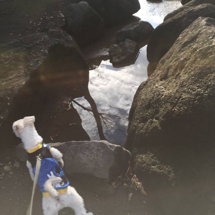 39c89e35 0f80 4899 b949 6986c3b86d19