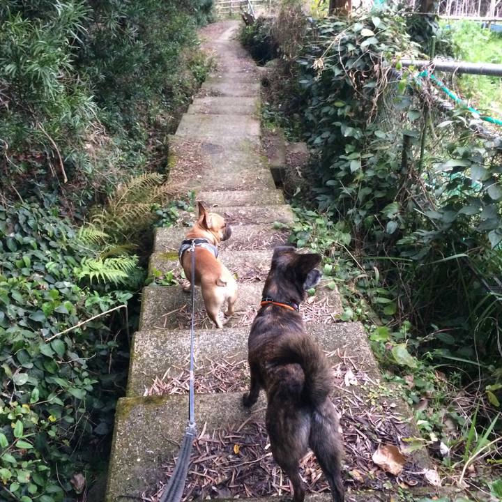 39c8ed88 285d 4a8b ae5b a16b88efa5a2