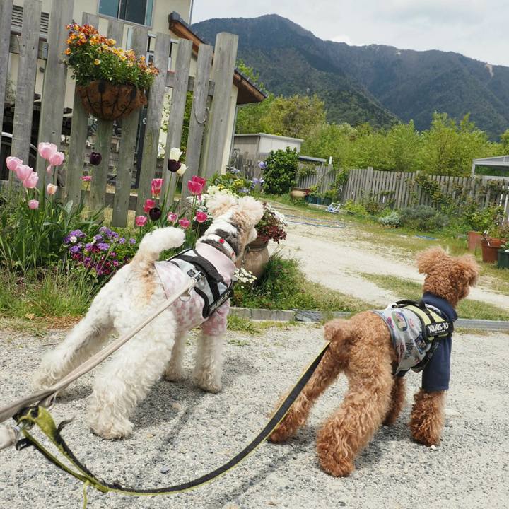 39c92eaf 8a93 46d1 96a0 691f8ad2ed98