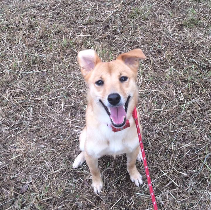 39ca1417 c600 4353 993a c774b02efc84