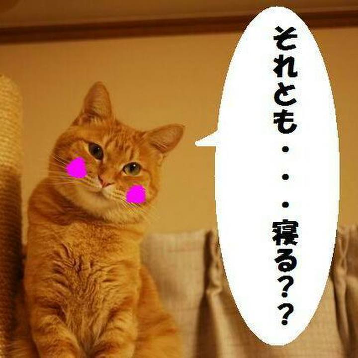 39cac5f5 bdf1 4cab 9aad 1309085b13ce