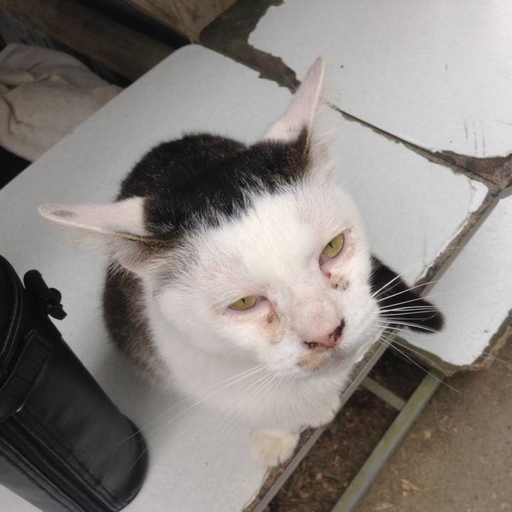 39cb29fe b4c7 4b6c ac17 af361acfd748