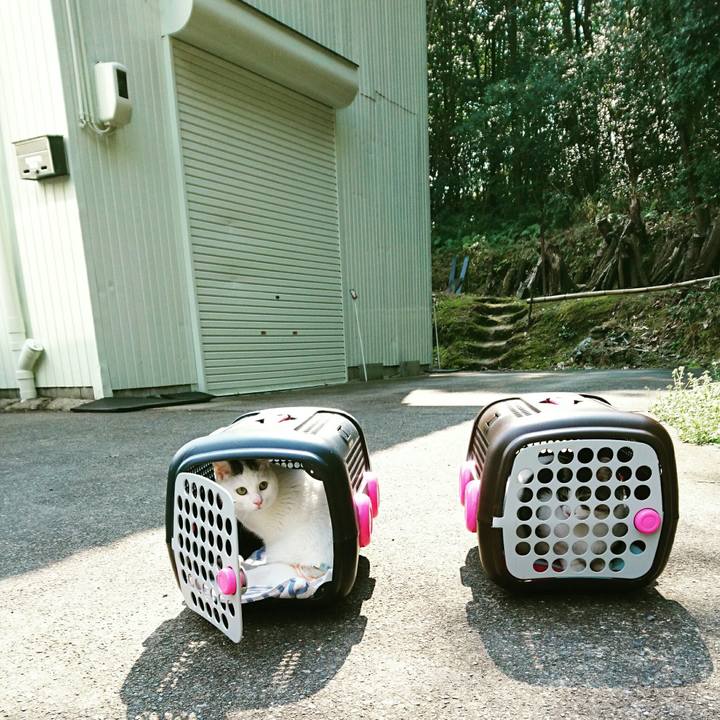 39cb78a5 d6ae 44aa 80c3 741cc1dfa925