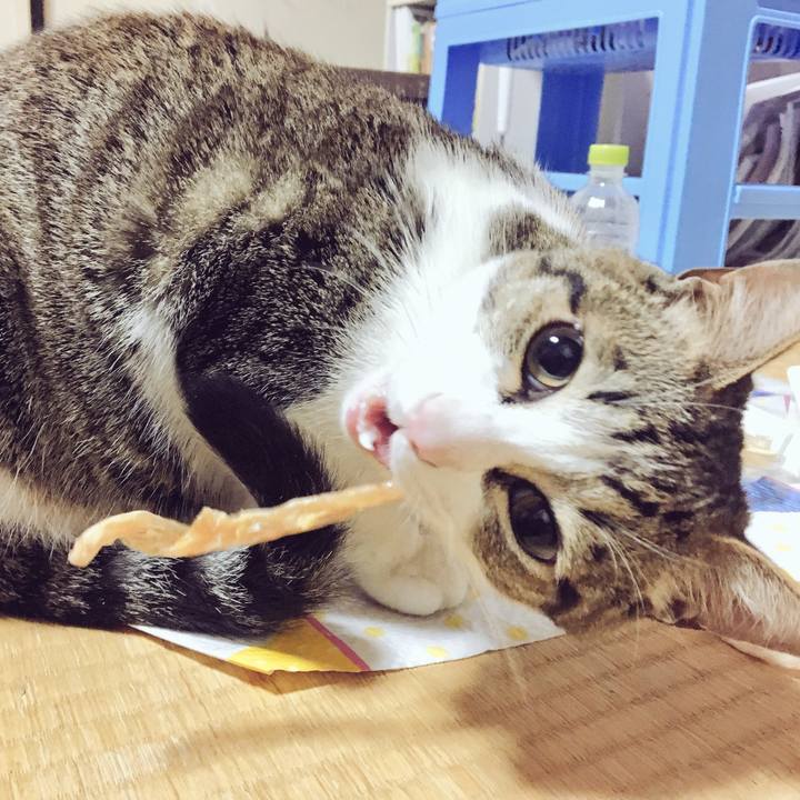 39cb9533 6329 4abe bc13 86b8e0dfdb8b