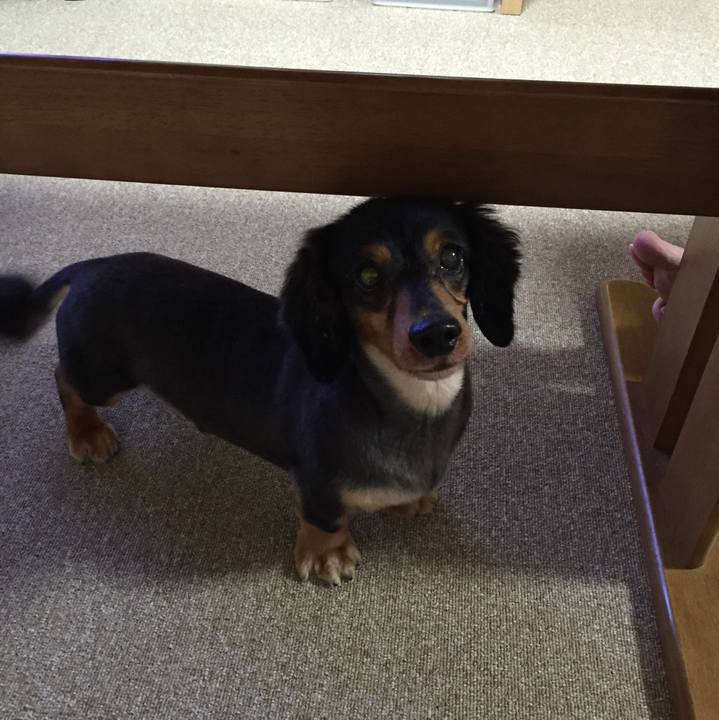 39cbb73b 5d30 41b0 89c5 f6ddec912829