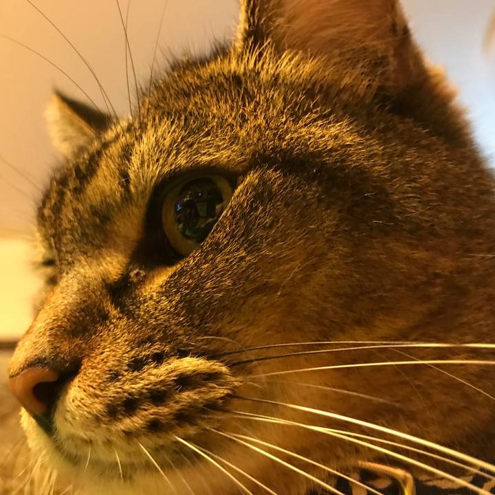 39cc8d00 5e24 41b7 a47f 7152641e9309