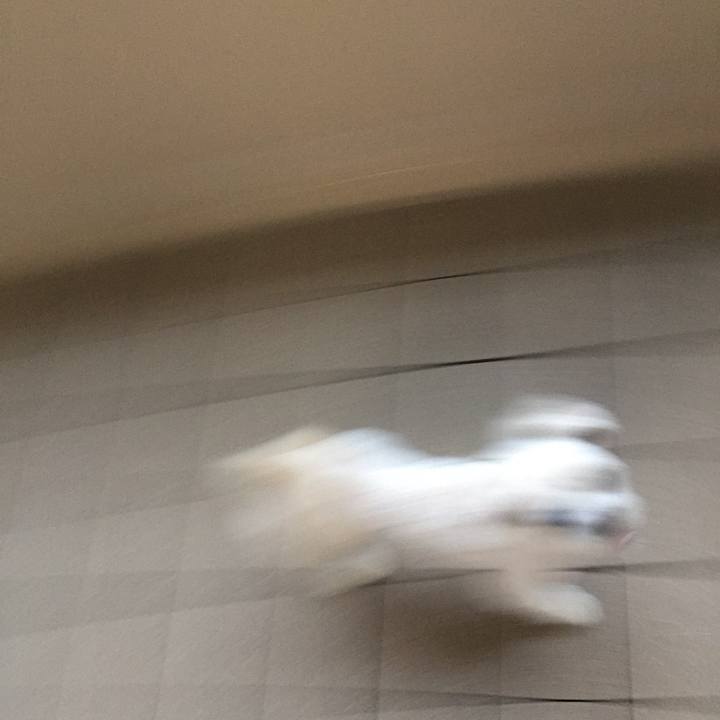 39cc8e05 25a4 4995 8aba 06002df9e069