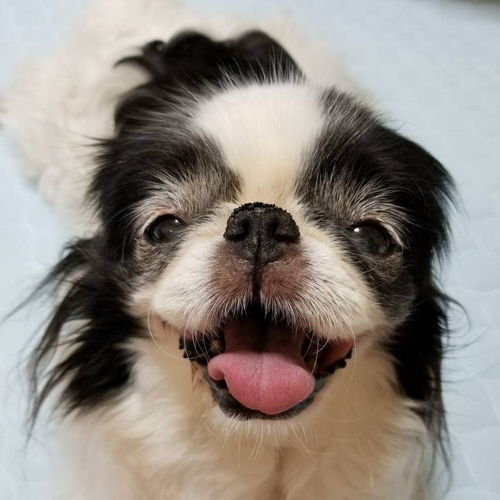 39cce3fd 0b8d 469b abb2 9415f31f15f0