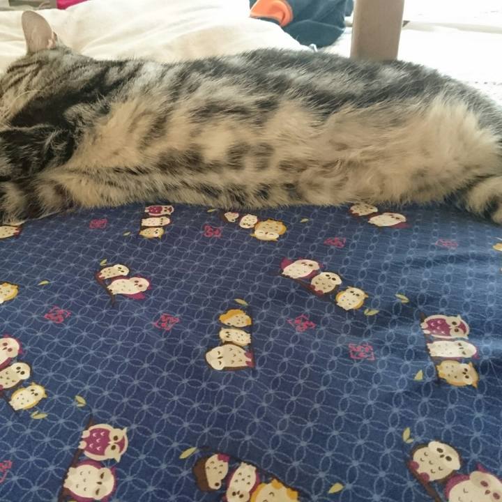 39cd0c6c 3347 4be9 97cd 7a5856661de9