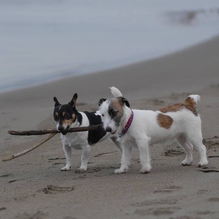 39cd7f5e e485 4ea6 9fe4 aa6d5a64cb1b