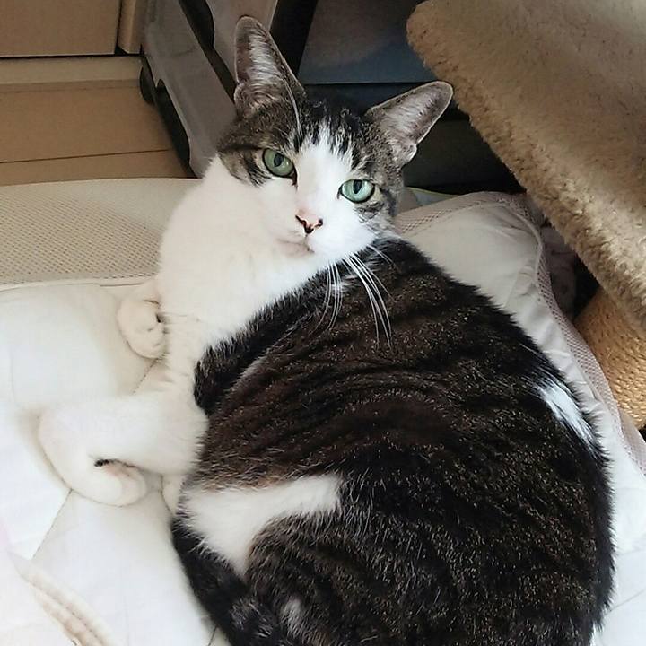 39ce6b2f 52ab 449b a236 9edeea1fded1