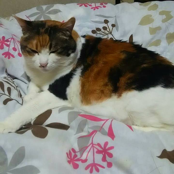 39ce9405 eed8 43b0 a325 9e1423f707e2