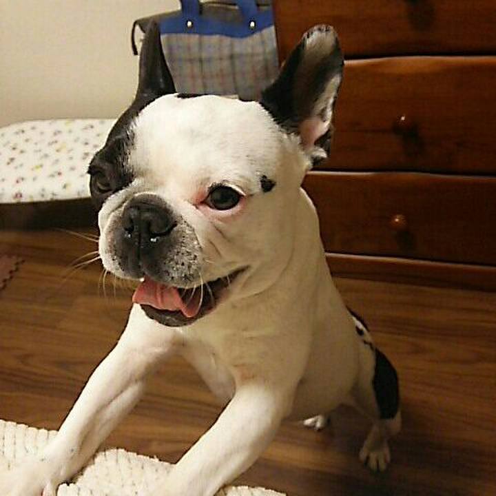 39cf71e8 5f85 47c1 835a 06f6bec7a673