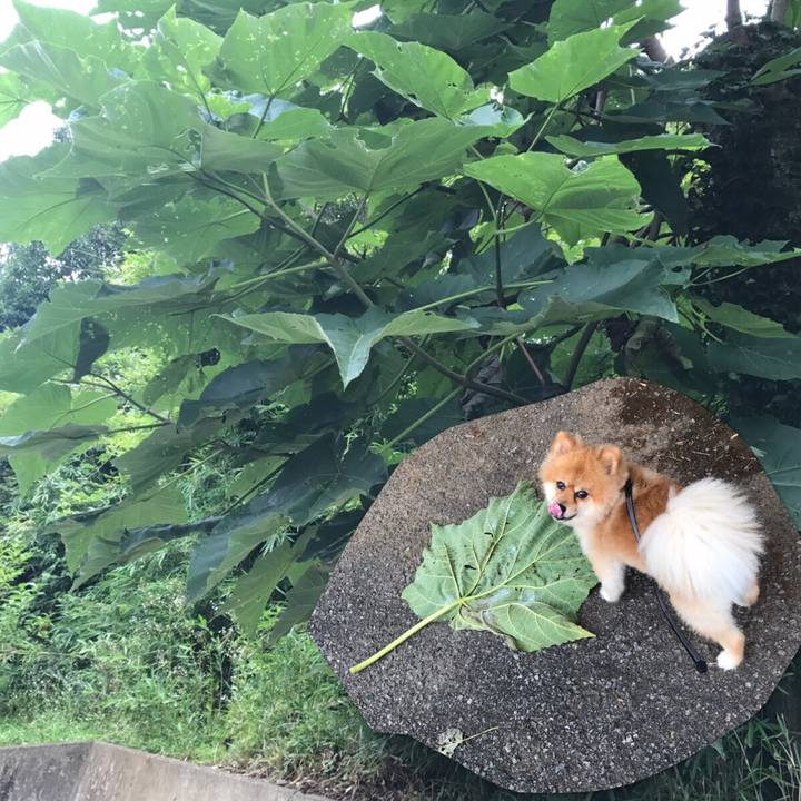 39cfa013 4f30 4ec4 884e 4a9960b2307b