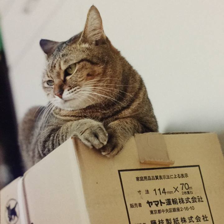 39d08650 4006 4dba bf53 c7000bd6bd89