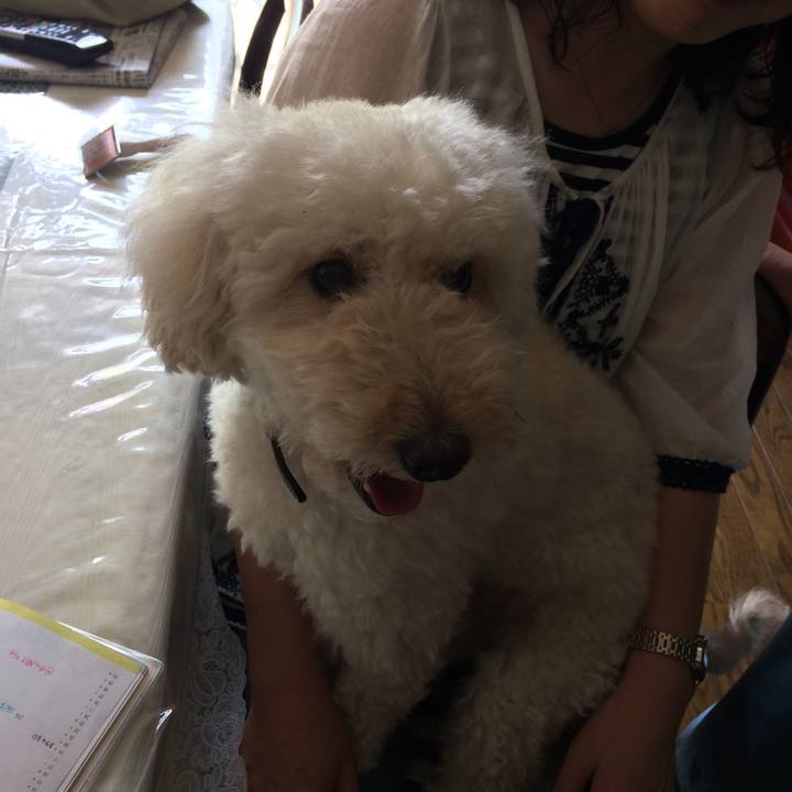 39d0aee7 cefd 4d01 824a ba35529e823f