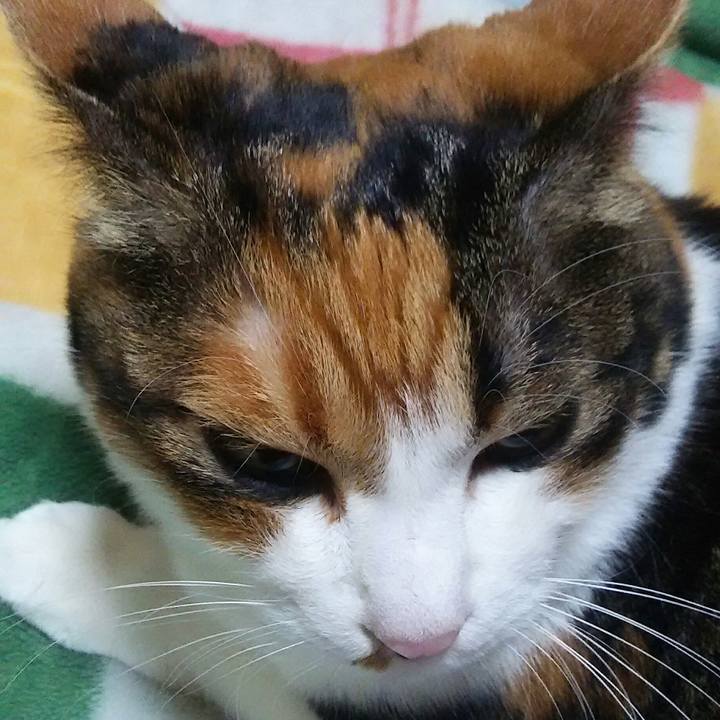 39d10bb4 a808 4fd2 a9e3 7e807d9432c4