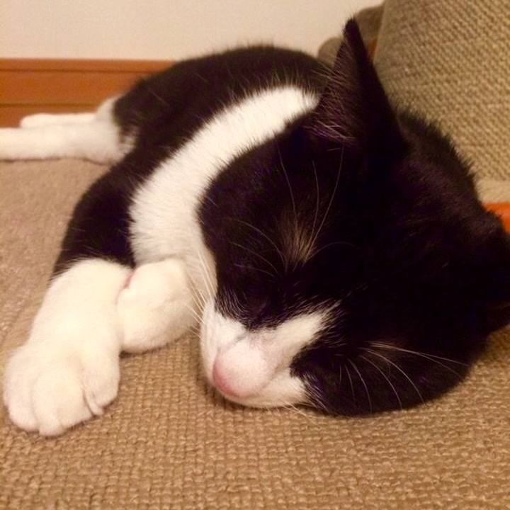 39d1374a 3921 4ba3 9b93 73838afaa1c8