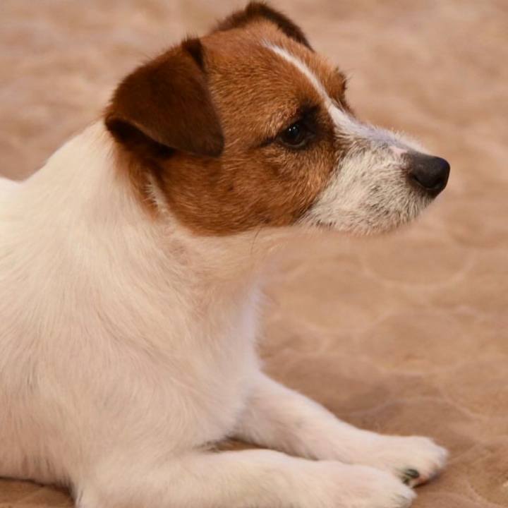 39d18f3e cc92 4c32 8080 d2a923d0724a