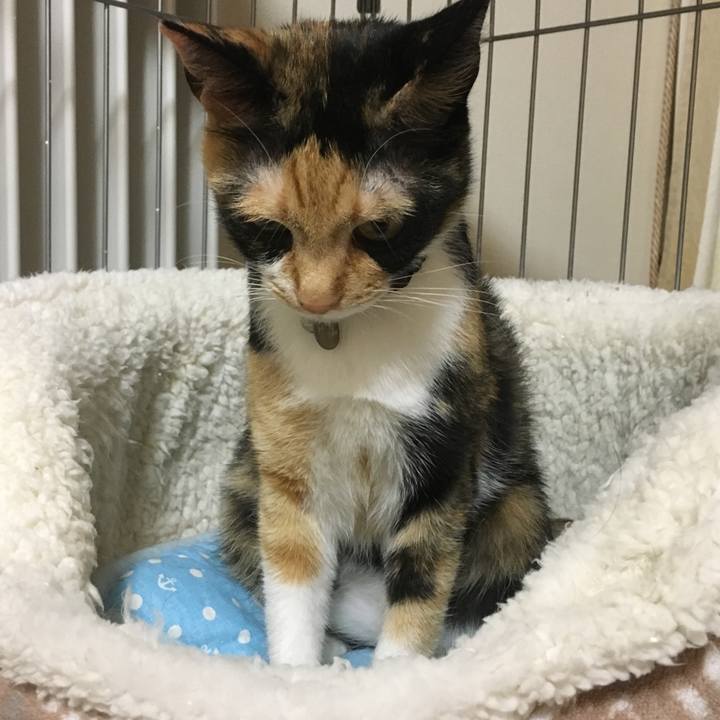 39d1aaa6 1fc8 478a 9f63 926533e86744