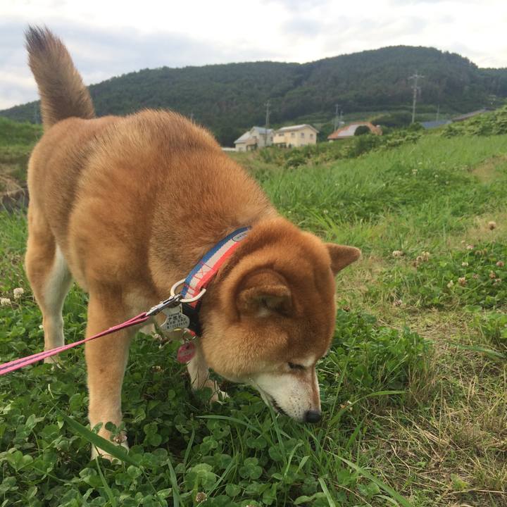 39d1ac34 de70 452c 8c78 08b36afd7d30