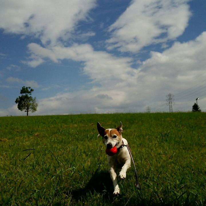 39d1f629 87fa 4b49 9141 5eb13ffd11e1