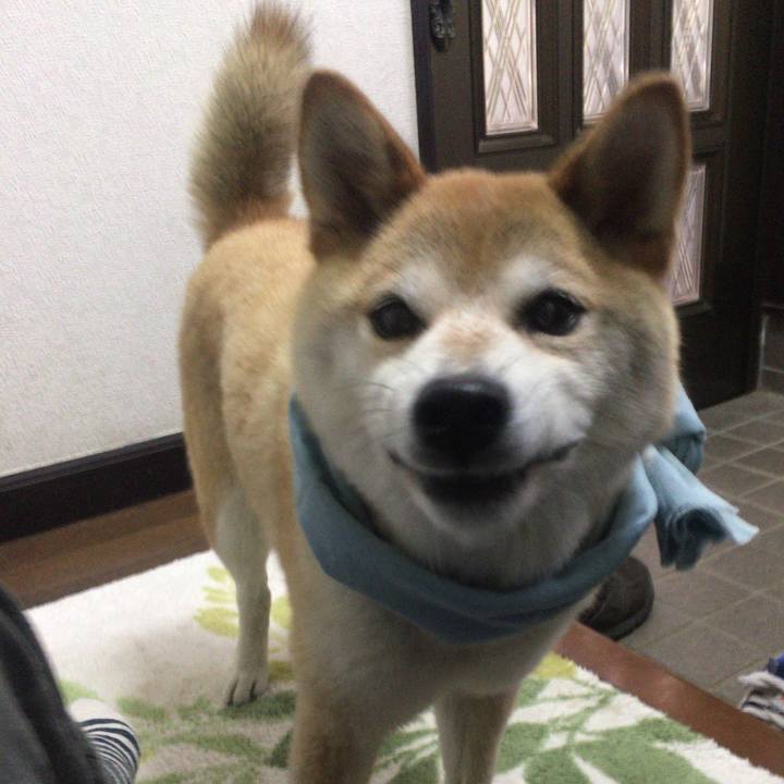 39d24829 f6a9 488b aa53 c62af5c7094e