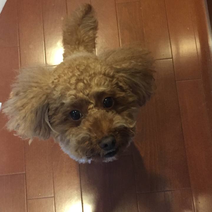 39d24a07 bbd8 4954 8aeb 7f9e15e44d2d