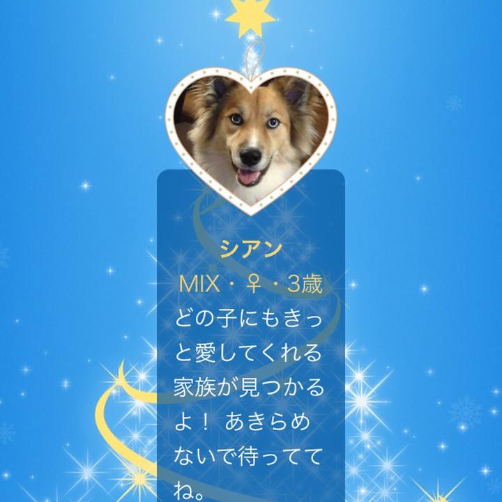 39d28471 e825 4663 8310 fb0d3749316e