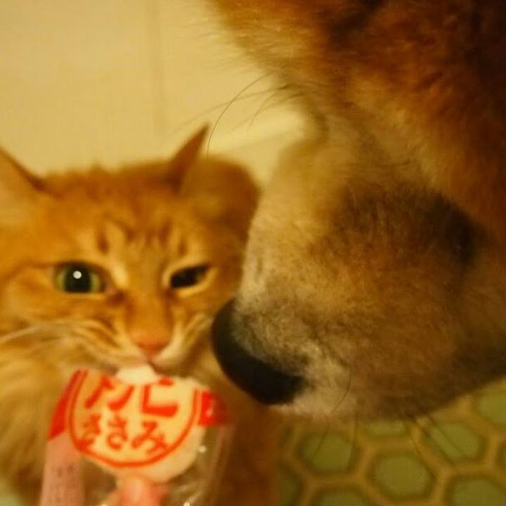 39d2e690 e856 4d0e a664 5dae2615b50b