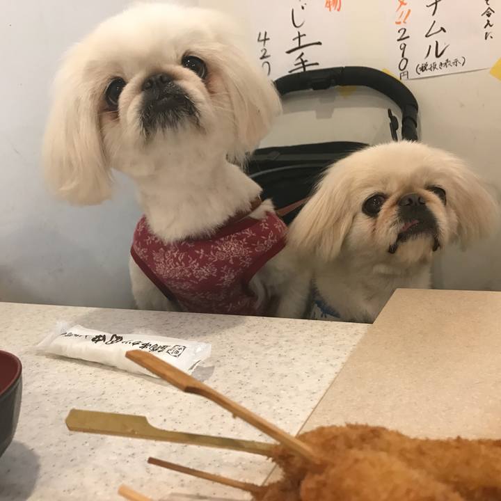 39d2fcff 9dd6 4ad6 b4cc 90a45919be4e