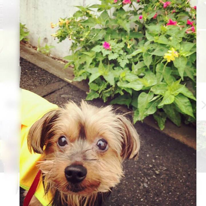 39d33613 db57 4b97 978c 5940b43fd3e4