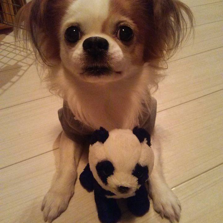 39d3945b 8119 439f a880 e8949a0ada68