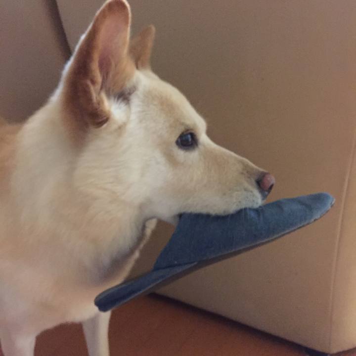 39d4296c 36c8 4644 a7d2 6d23369a5f6c