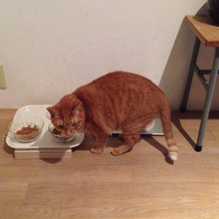 39d431a4 40b8 48f3 8686 0e759062cad4