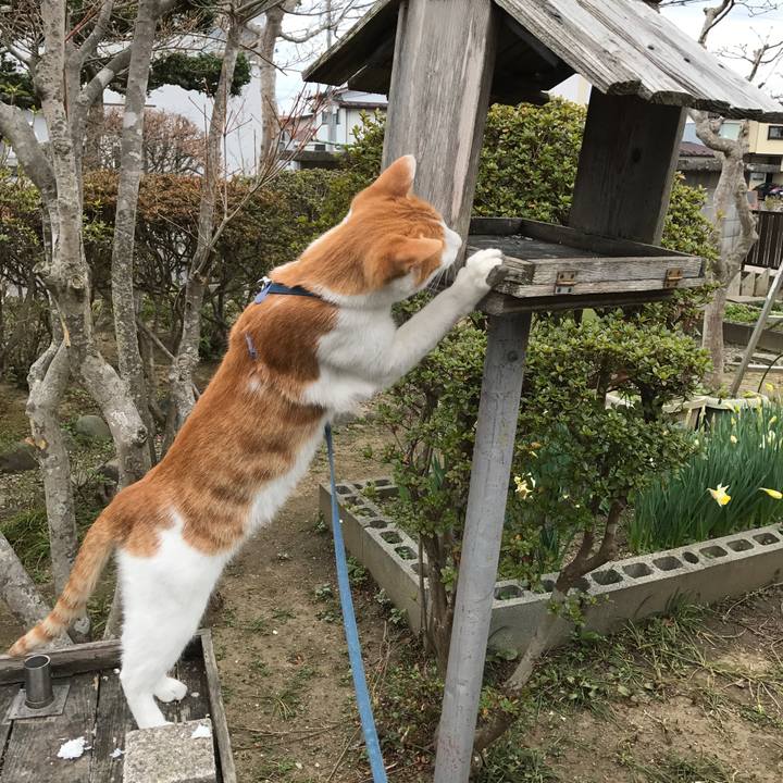 39d4d12b 8fcd 4206 b8d3 f74978e73ffb