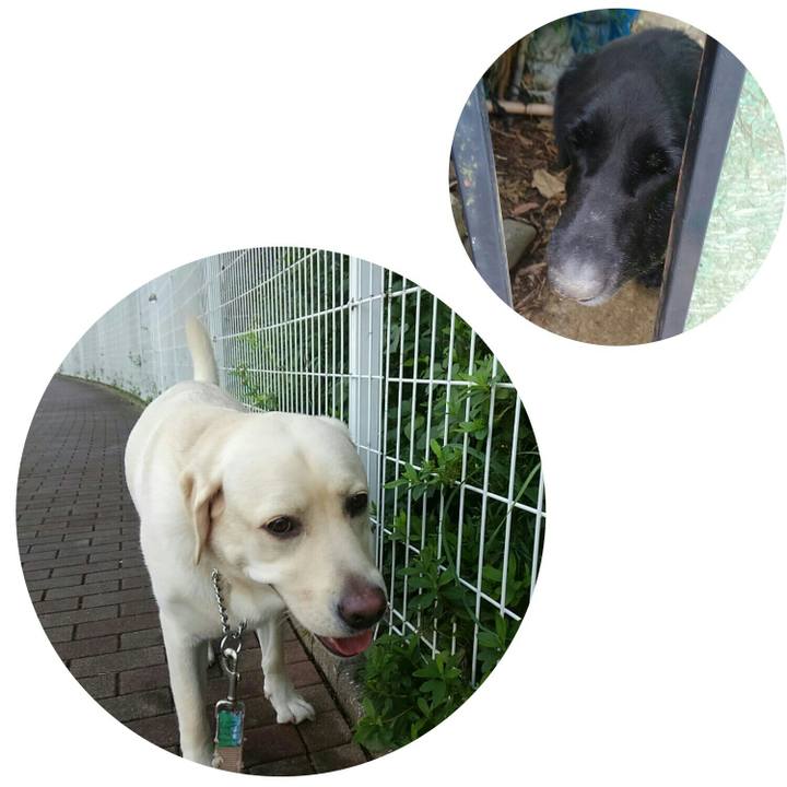 39d4f8ef fc6b 4f98 883a b1ca34bc6d86