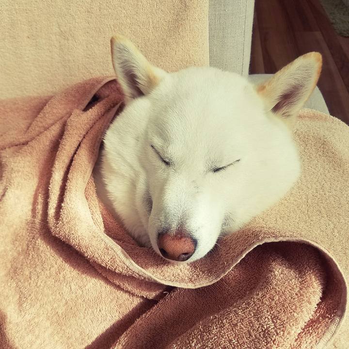 39d549fd c285 40a0 b648 00a0ff64e8ac